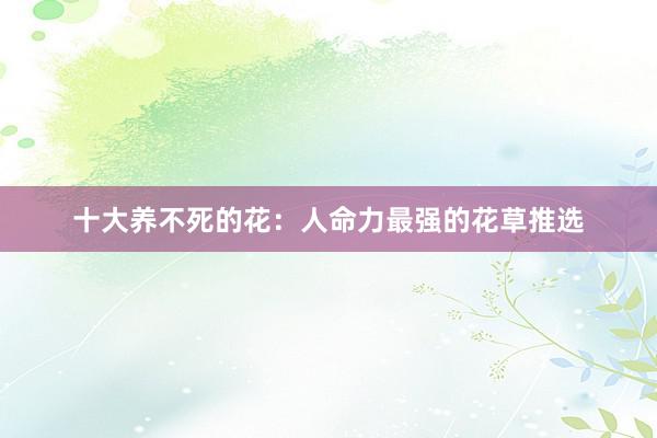 十大养不死的花：人命力最强的花草推选