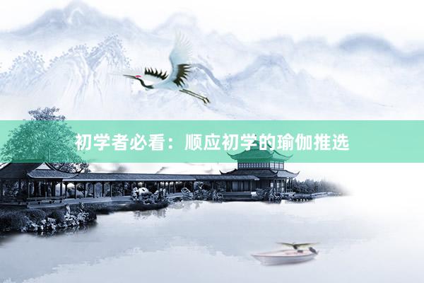 初学者必看：顺应初学的瑜伽推选